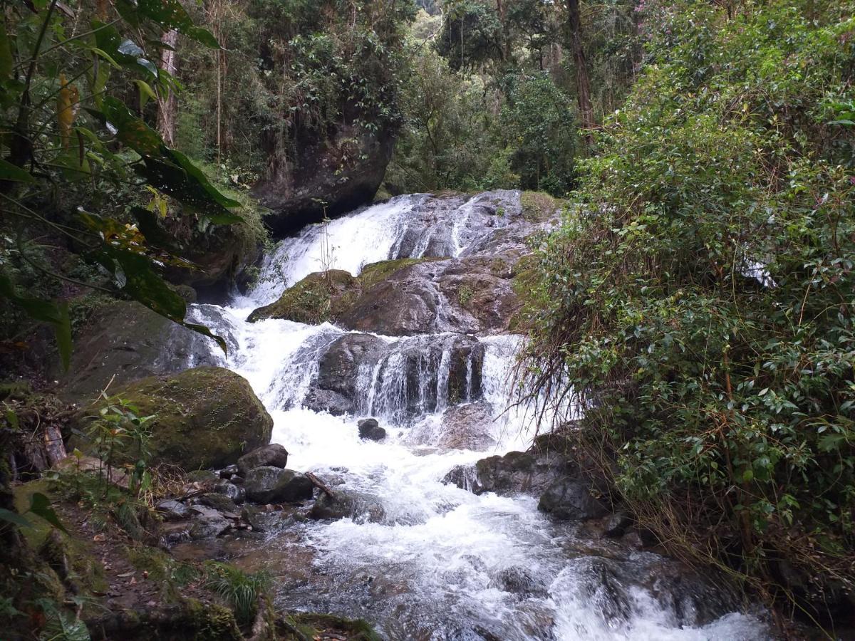 Las Cataratas Lodge San Gerardo de Dota Esterno foto